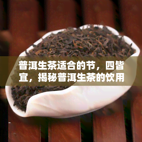 普洱生茶适合的节，四皆宜，揭秘普洱生茶的饮用节