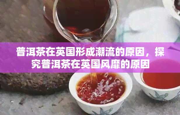 普洱茶在英国形成潮流的原因，探究普洱茶在英国风靡的原因