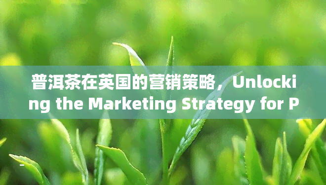 普洱茶在英国的营销策略，Unlocking the Marketing Strategy for Pu'er Tea in the UK