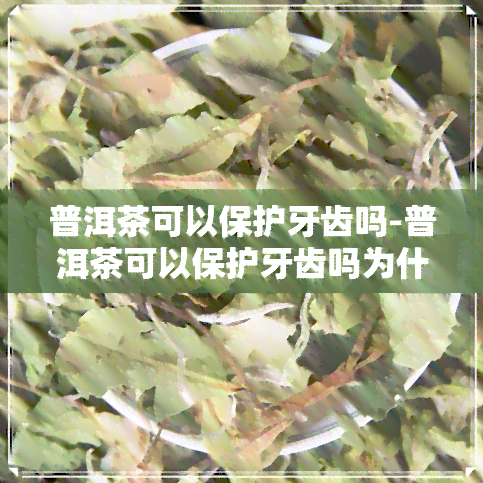 普洱茶可以保护牙齿吗-普洱茶可以保护牙齿吗为什么