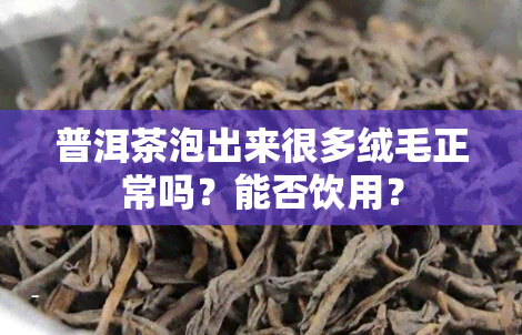 普洱茶泡出来很多绒毛正常吗？能否饮用？