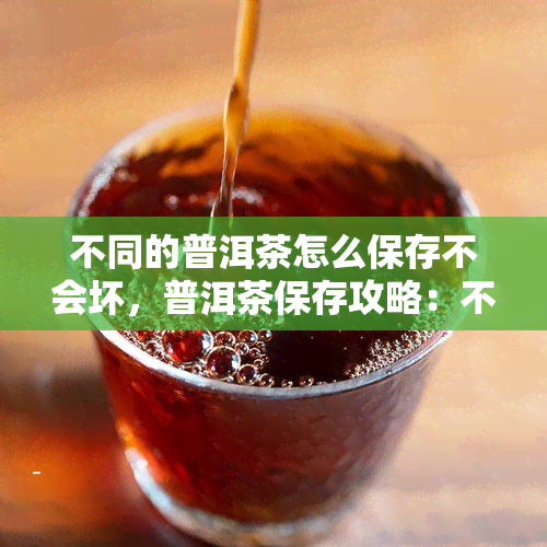 不同的普洱茶怎么保存不会坏，普洱茶保存攻略：不同类型的普洱茶应该如何妥善存放？