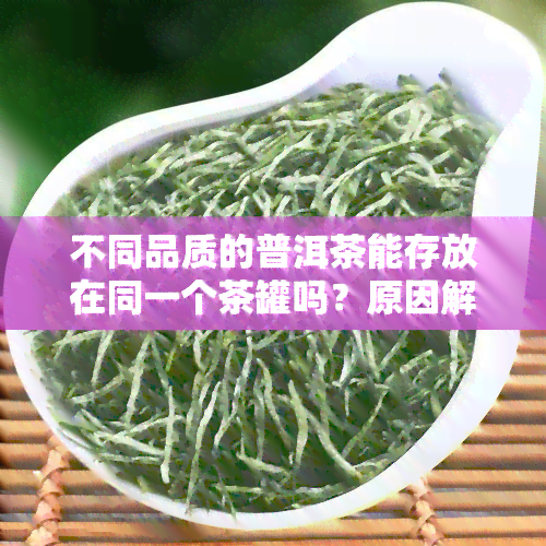 不同品质的普洱茶能存放在同一个茶罐吗？原因解析