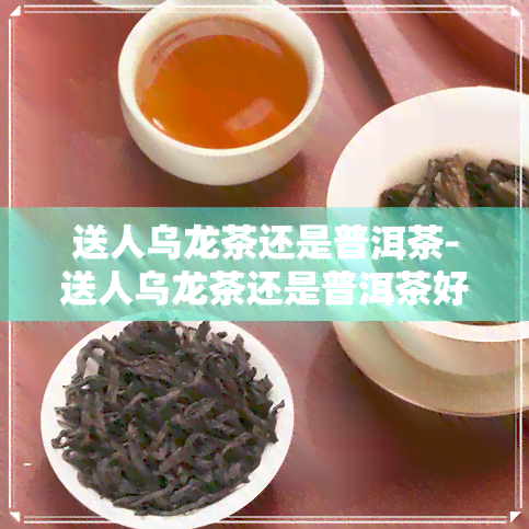 送人乌龙茶还是普洱茶-送人乌龙茶还是普洱茶好