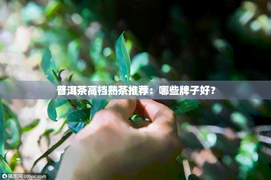 普洱茶高档熟茶推荐：哪些牌子好？