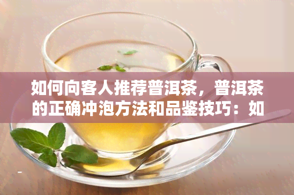 如何向客人推荐普洱茶，普洱茶的正确冲泡方法和品鉴技巧：如何向客人推荐？