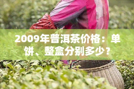 2009年普洱茶价格：单饼、整盒分别多少？