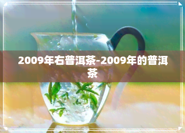 2009年右普洱茶-2009年的普洱茶