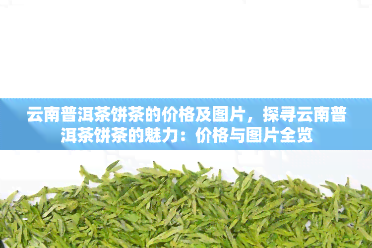 云南普洱茶饼茶的价格及图片，探寻云南普洱茶饼茶的魅力：价格与图片全览