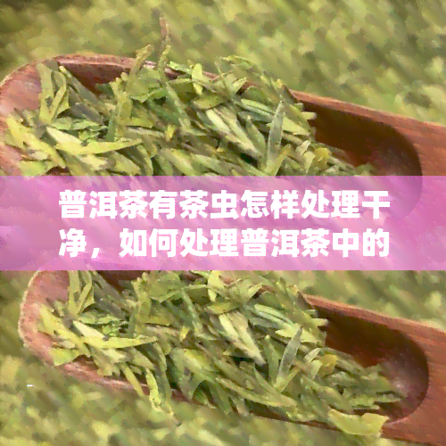 普洱茶有茶虫怎样处理干净，如何处理普洱茶中的茶虫？