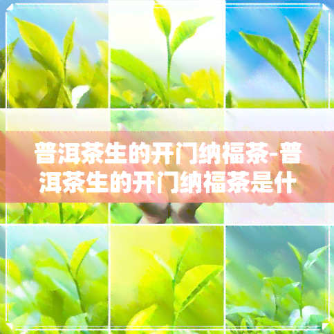 普洱茶生的开门纳福茶-普洱茶生的开门纳福茶是什么茶