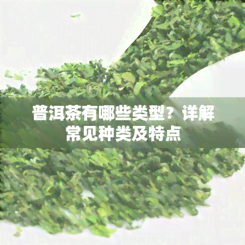 普洱茶有哪些类型？详解常见种类及特点