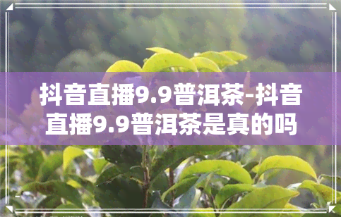 抖音直播9.9普洱茶-抖音直播9.9普洱茶是真的吗