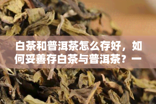 白茶和普洱茶怎么存好，如何妥善存白茶与普洱茶？一份详细的存指南