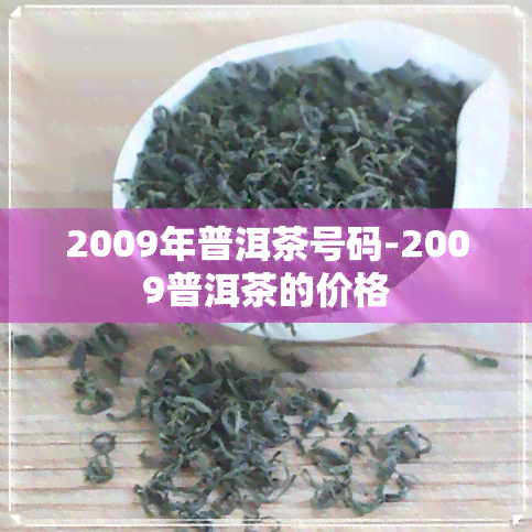 2009年普洱茶号码-2009普洱茶的价格