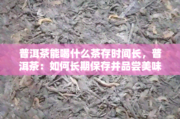 普洱茶能喝什么茶存时间长，普洱茶：如何长期保存并品尝美味？