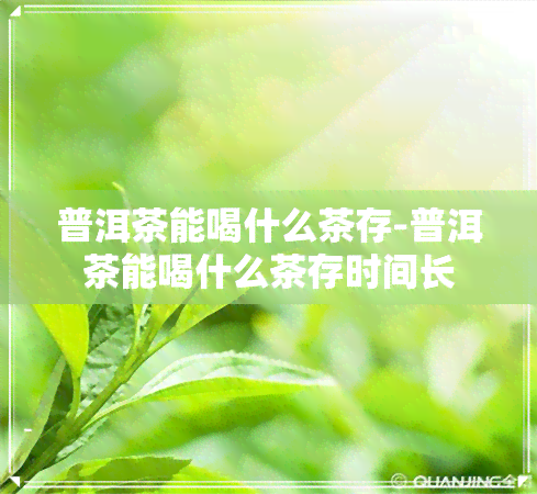 普洱茶能喝什么茶存-普洱茶能喝什么茶存时间长