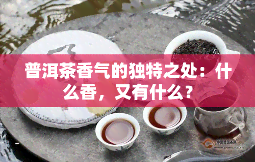 普洱茶香气的独特之处：什么香，又有什么？