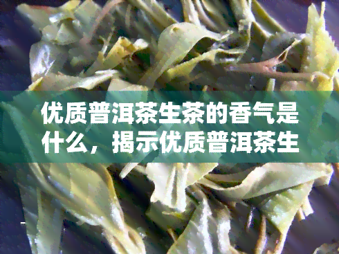 优质普洱茶生茶的香气是什么，揭示优质普洱茶生茶的独特香气