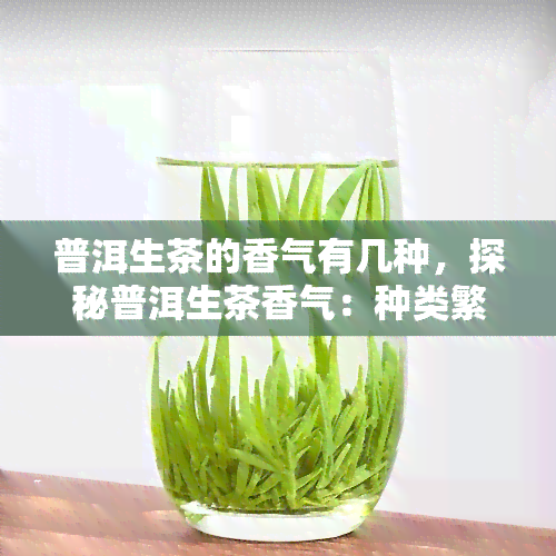 普洱生茶的香气有几种，探秘普洱生茶香气：种类繁多，各有特色