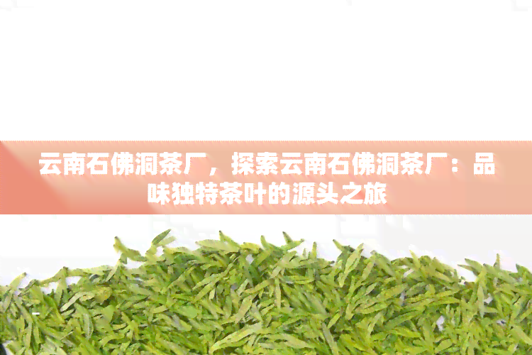 云南石佛洞茶厂，探索云南石佛洞茶厂：品味独特茶叶的源头之旅