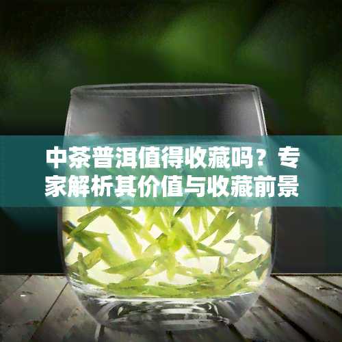 中茶普洱值得收藏吗？专家解析其价值与收藏前景