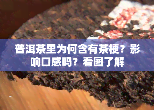 普洱茶里为何含有茶梗？影响口感吗？看图了解