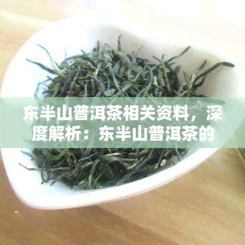 东半山普洱茶相关资料，深度解析：东半山普洱茶的产地、品种与冲泡方法