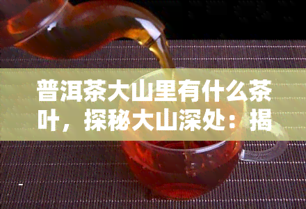 普洱茶大山里有什么茶叶，探秘大山深处：揭秘普洱茶以外的其他珍稀茶叶品种