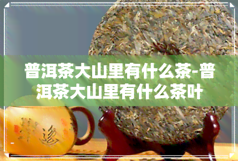 普洱茶大山里有什么茶-普洱茶大山里有什么茶叶