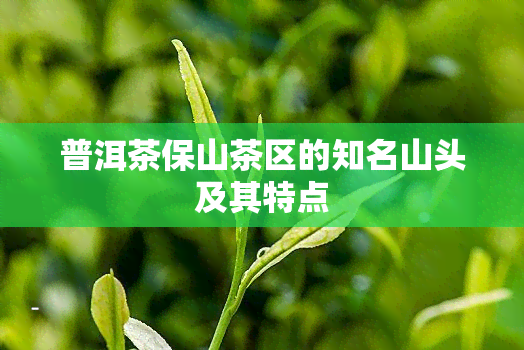 普洱茶保山茶区的知名山头及其特点