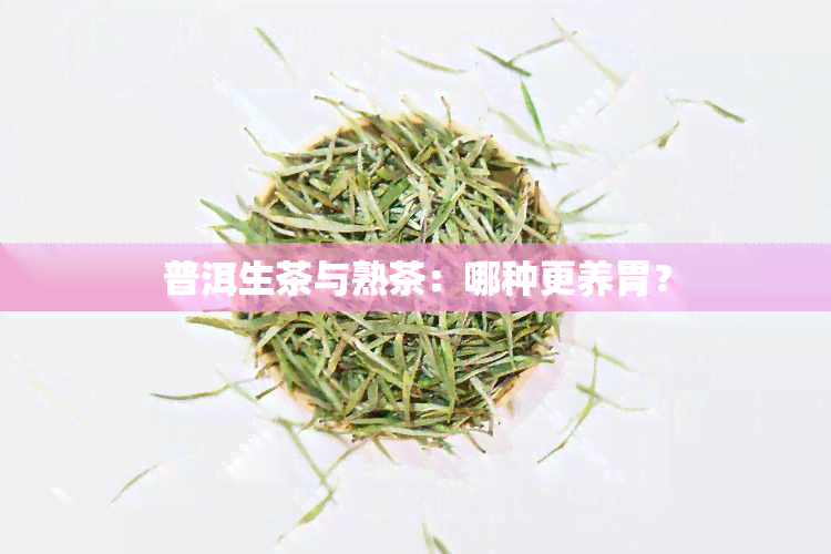 普洱生茶与熟茶：哪种更养胃？