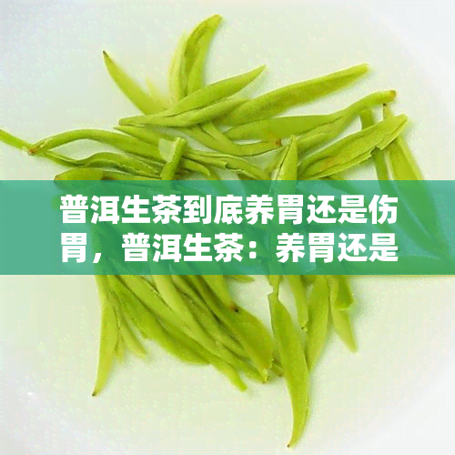 普洱生茶到底养胃还是伤胃，普洱生茶：养胃还是伤胃？探讨其功效与影响