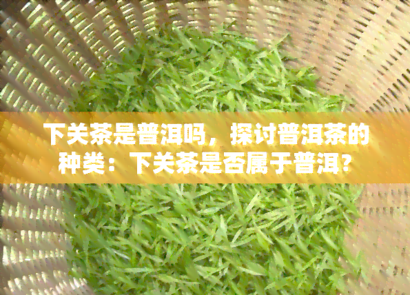 下关茶是普洱吗，探讨普洱茶的种类：下关茶是否属于普洱？