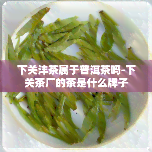 下关沣茶属于普洱茶吗-下关茶厂的茶是什么牌子