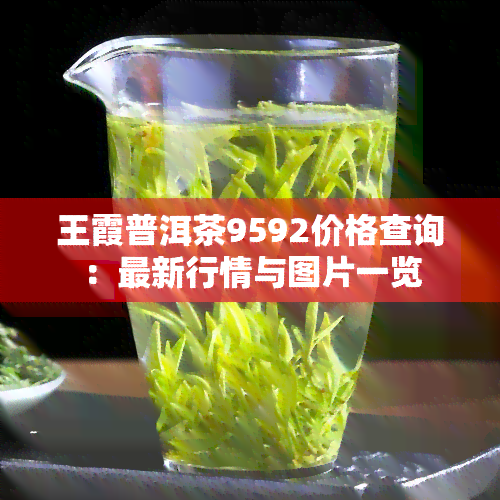 王霞普洱茶9592价格查询：最新行情与图片一览