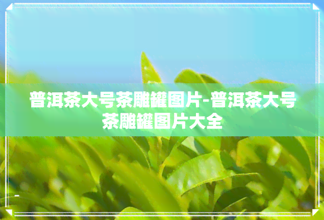 普洱茶大号茶雕罐图片-普洱茶大号茶雕罐图片大全