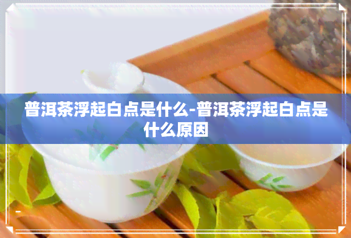 普洱茶浮起白点是什么-普洱茶浮起白点是什么原因