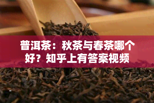 普洱茶：秋茶与春茶哪个好？知乎上有答案视频