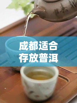 成都适合存放普洱茶吗？如何在成都正确保存普洱茶？