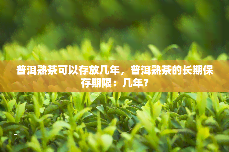 普洱熟茶可以存放几年，普洱熟茶的长期保存期限：几年？