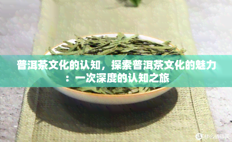 普洱茶文化的认知，探索普洱茶文化的魅力：一次深度的认知之旅