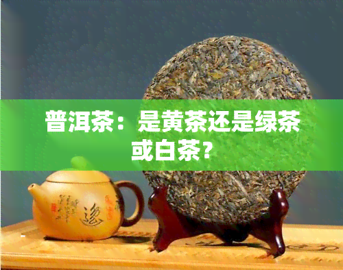 普洱茶：是黄茶还是绿茶或白茶？