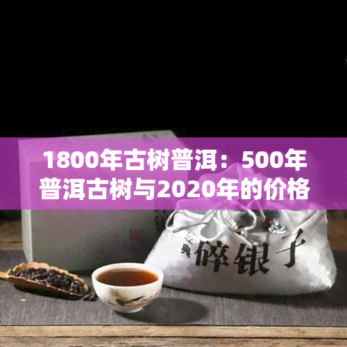 1800年古树普洱：500年普洱古树与2020年的价格比较