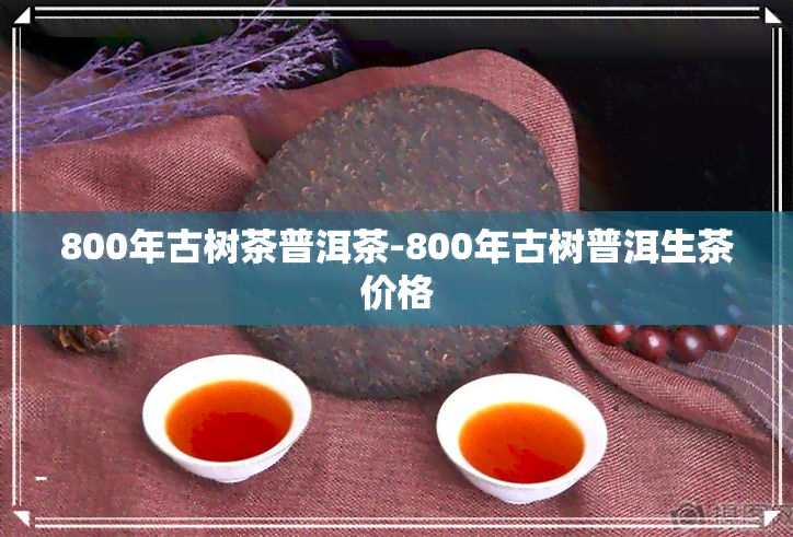 800年古树茶普洱茶-800年古树普洱生茶价格