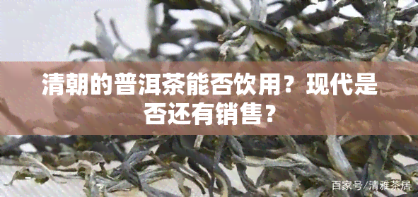 清朝的普洱茶能否饮用？现代是否还有销售？