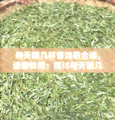 每天喝几杯普洱茶合适，适量饮用：探讨每天喝几杯普洱茶的合适量