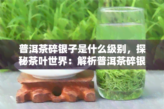 普洱茶碎银子是什么级别，探秘茶叶世界：解析普洱茶碎银子的级别和品质