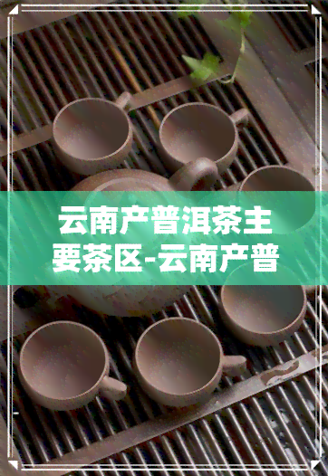 云南产普洱茶主要茶区-云南产普洱茶主要茶区有哪些