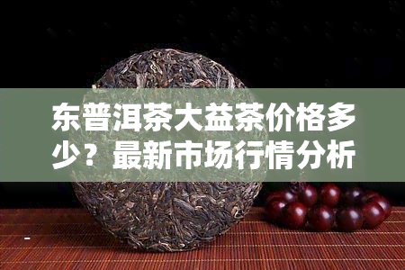 东普洱茶大益茶价格多少？最新市场行情分析与报价一览